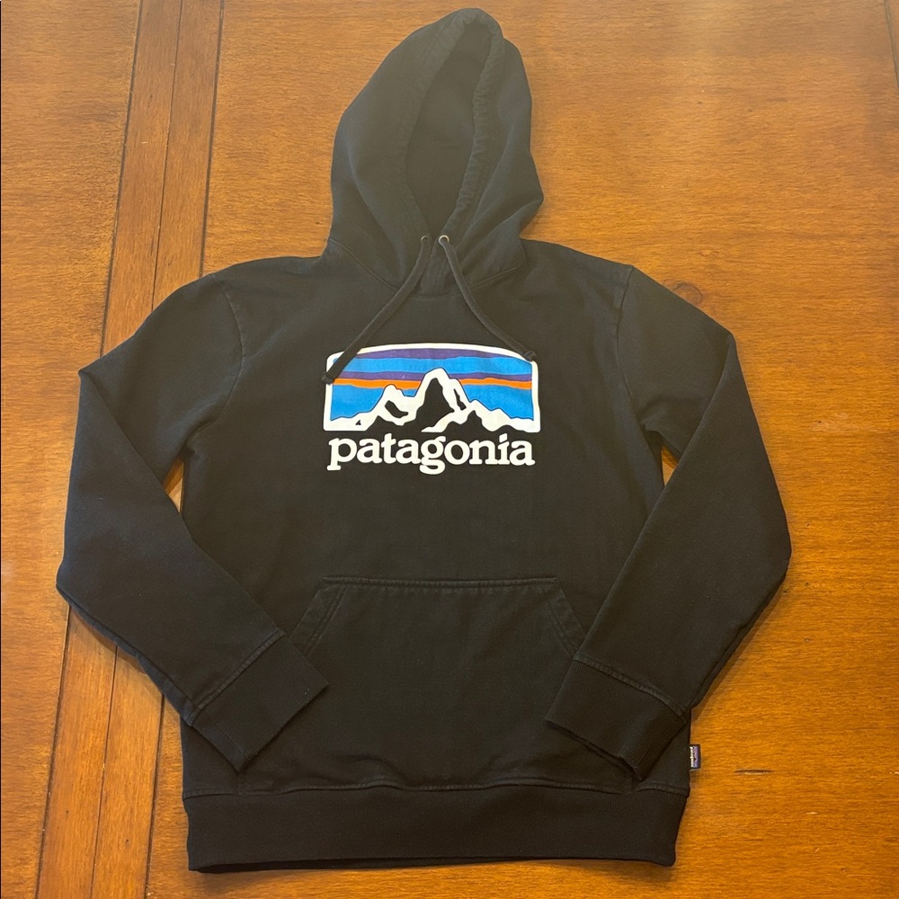 Patagonia Black Hoodie with Vibrant Mountain Logo Small Classic Fit Sweatshirt